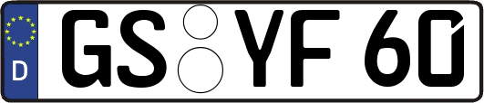 GS-YF60