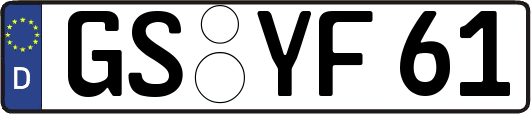 GS-YF61