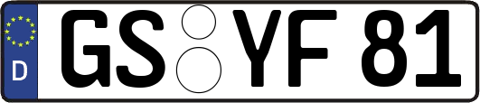 GS-YF81