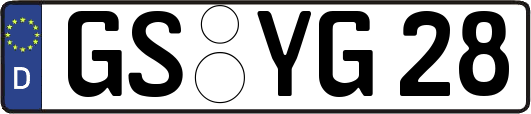 GS-YG28