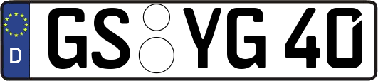 GS-YG40