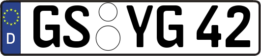 GS-YG42