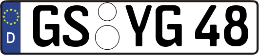 GS-YG48