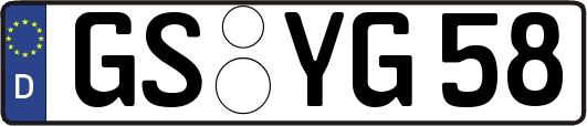 GS-YG58