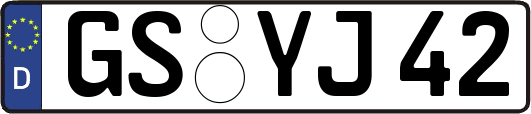 GS-YJ42