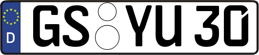 GS-YU30