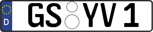 GS-YV1