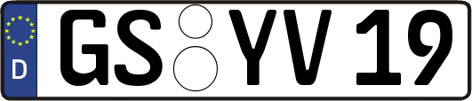 GS-YV19
