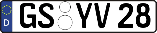 GS-YV28