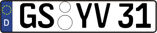 GS-YV31