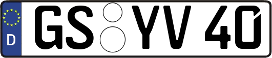 GS-YV40