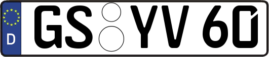 GS-YV60