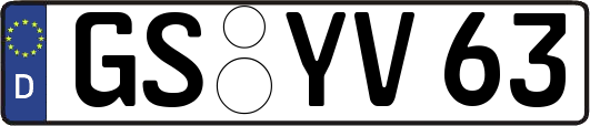 GS-YV63