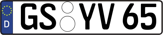 GS-YV65