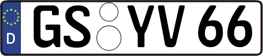 GS-YV66