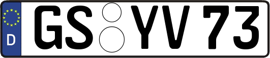 GS-YV73