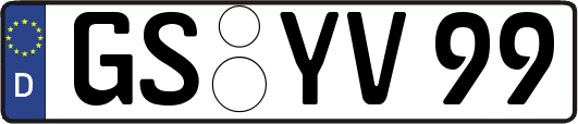 GS-YV99