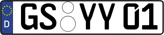 GS-YY01
