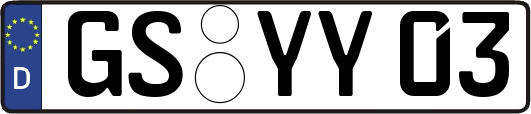 GS-YY03