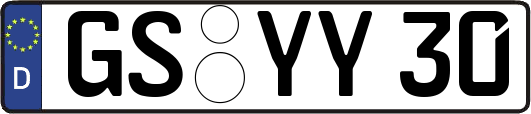 GS-YY30