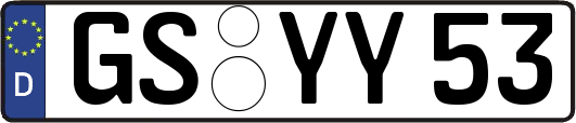 GS-YY53