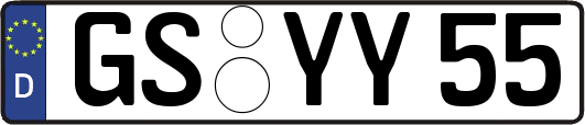 GS-YY55
