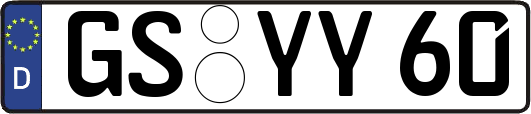 GS-YY60