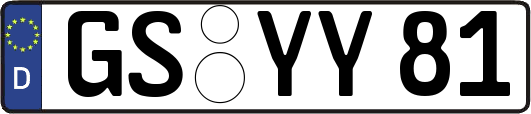 GS-YY81