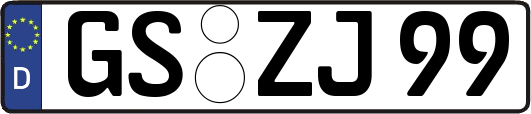 GS-ZJ99