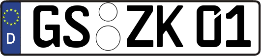 GS-ZK01