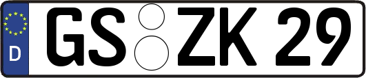 GS-ZK29