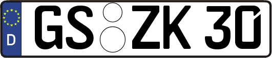 GS-ZK30