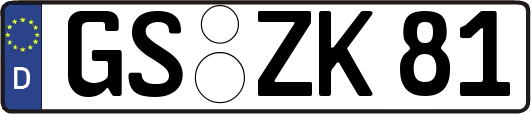 GS-ZK81