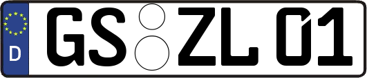 GS-ZL01