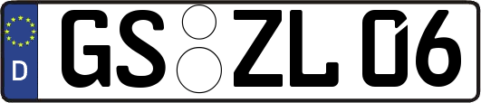 GS-ZL06