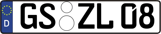 GS-ZL08