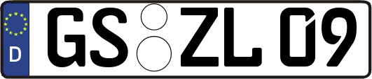 GS-ZL09