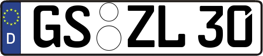 GS-ZL30