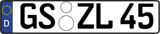 GS-ZL45