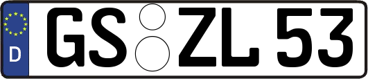GS-ZL53