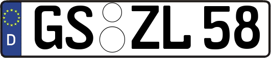 GS-ZL58