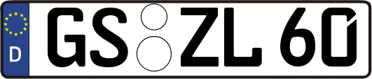 GS-ZL60