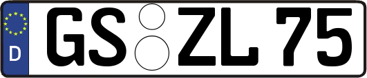 GS-ZL75
