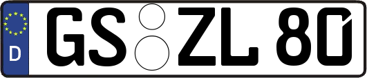 GS-ZL80