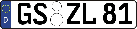 GS-ZL81