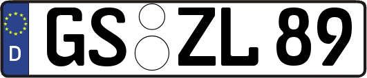 GS-ZL89