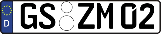 GS-ZM02