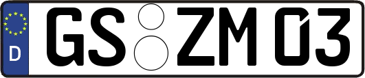 GS-ZM03