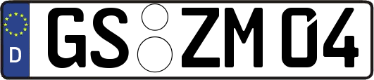 GS-ZM04