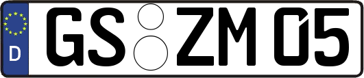 GS-ZM05